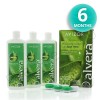 Pack size: 6 Months (6 x 240ml) £19.95 p/pack Save  £2